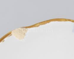 Makkum dísztál. Máz alatt festett virágkosár mintával, jelzésekkel, pattanással, d: 23,5 cm