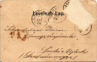 1899 (Vorläufer) Fogaras, Fagaras; Apaffy (Apafi) fejedelem kastélya a 14. századból, vár. Thierfeld...