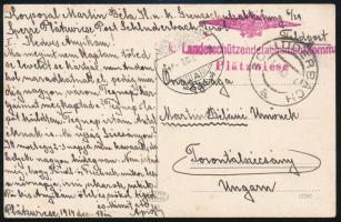 1914 Tábori posta képeslap "K.u.k. Landesschützendetachementkommando Plätzwiese"