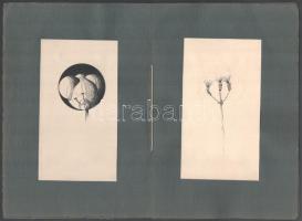 Galambos Margit (?-?), működött 1920-30 körül: Portfolio 3 db mappában, össz. 36 db rajzzal. Ceruza,...