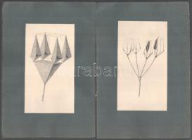 Galambos Margit (?-?), működött 1920-30 körül: Portfolio 3 db mappában, össz. 36 db rajzzal. Ceruza,...