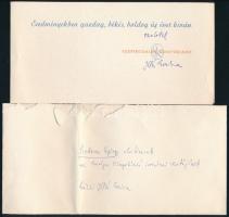 1971 Illés Endre (1902-1986) író, drámaíró, műfordító, műkritikus, a Szépirodalmi Könyvkiadó vezetőj...