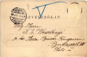 1899 (Vorläufer) Versec, Werschetz, Vrsac; Sétatér, Berger Nachfolger, A. Poller, G. Florian, Lövens...