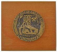 ~1970. Borsodi Tanbánya - Lyukóbánya öntött bronz emlékérem (78mm) fa posztamensre erősítve (137x125mm) T:XF