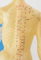 Kínai akupunktúrás szemléltető baba eredeti dobozában 27 cm