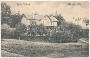 1925 Málnásfürdő, Malnas Bai; Ida villa. Kiadja Fratii Pálfi (EK)