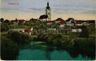 1915 Veselí nad Luznicí, general view (EK)