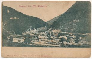 1901 Raul Vadului, Rau Vadului, Riu Vadului; fűrésztelep, vasúti híd. Kiadja Jos. Drotleff / sawmill, railway bridge. Photo T. Kalina (b)