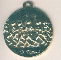 Olaszország 1981. "Del Passatore - 100km" futás VB, aranyozott érdemérem T:2