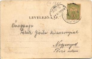 1905 Szováta, Sovata; Báró Solymosy villa. Petróczy G. felvétele / villa, spa (EK)