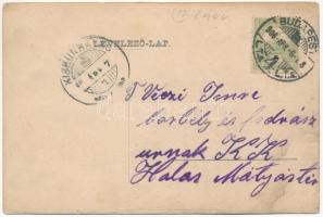 1906 Tulipánt a magyarnak... Hazafias propaganda / Hungarian patriotic propaganda, tulip (r)