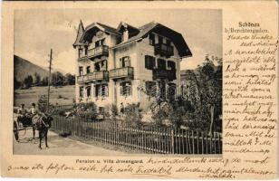 1904 Schönau a. Königssee (Berchtesgaden), Pension u. Villa Irmengard (EK)