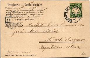 1904 Schönau a. Königssee (Berchtesgaden), Pension u. Villa Irmengard (EK)