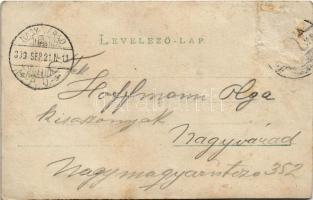 1899 (Vorläufer) Vajdahunyad, Hunedoara; vár / castle. photo (Rb)