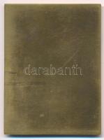 1974. "A LIGNIMPEX 25 éves jubileuma alkalmából" bronz emlékplakett (79x59mm) T:XF