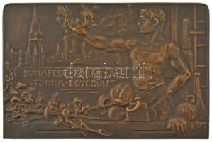 ~1922(?) Budapest-Kőbányai Torna Egyesület nagyméretű, egyoldalas, bronz lemezplakett. Szign.: Kapás (201x132mm) T:AU