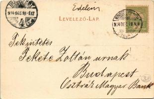 1904 Edelény, Lonyay utca + "MISKOLCZ-TORNA-KASSA" vasúti mozgóposta (EB)