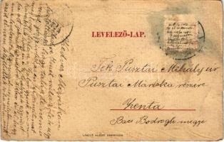 1906 Debrecen, Margit fürdő. Art Nouveau, Floral, Emb. litho (EK)