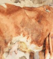 Edvi Illés Aladár (1858-1927): Tehén borjával, 1911. Akvarell, papír, jelezve jobbra lent. Hátoldalá...