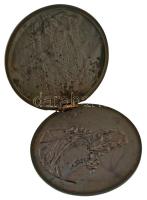 Varga Géza (1951-) 1982. A Mikes-plakett második fokozata. Előlapon: "Gróf Mikes Kelemen Rákotz...