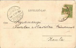 1906 Zenta, Senta; Alsóvárosi templom / church (EB)