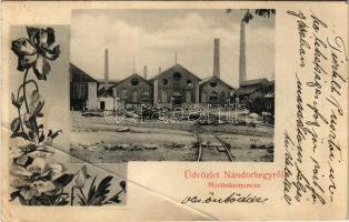 1909 Nándorhegy, Otelu Rosu, Ferdinand, Ferdinandsberg; Martinkemence, acél és vasöntöde, iparvasút / Martinwerk / steel and iron works, factory, foundry, industrial railway. Floral (fa)