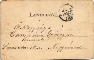 1909 Pécska, Magyarpécska, Ó-Pécska, Pecica; Iritz Manó üzlete. Honisch udvari fényképész felvétele ...