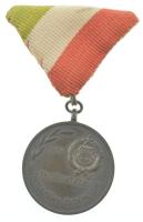 1958. "Felsőoktatási Tanulmányi Érdemérem 1958 / Tudással a hazáért, a szocializmusért" bronz díjérem mellszalagon, tokban (35mm) T:AU