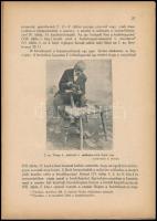 N. Bartha Károly: A debreceni fésüsmesterség. A szerző, N. Bartha Károly (1886-1956) etnográfus álta...