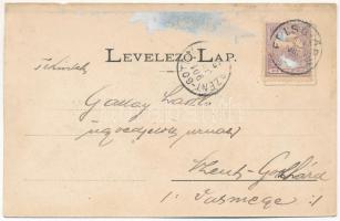 1901 Alsóörs, Alsó-Eörs; fürdőtelep a Balaton partján, vitorlás jacht, Szép Ilonka és Basa villa, Mi...