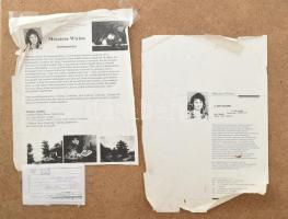 Mészáros Wivien (1966-): Holland táj. Olaj, farost. Jelzett. Széeli apró sérülésekkel. 50x60 cm