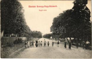 1909 Nagybajom (Somogy), Sugár utca. Mautner Adolf kiadása (EK)