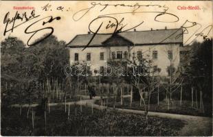 1909 Csízfürdő, Kúpele Cíz; szanatórium. Kohn Adolf kiadása / sanatorium (fl)