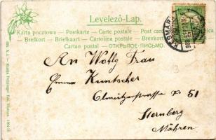 1908 Késmárk, Kezmarok; Városháza. Feitzinger Ede 1904/14. 690. A.J. / town hall (fl)