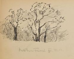 1901-1902 Entz Géza (biológus, 1842-1919) autográf rajzai. Nagyrészt balatonfüredi kagylók fejlődésé...