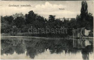 1909 Torna, Abaúj-Torna, Turnau, Turna nad Bodvou; Halastó. Steinberger Ignác kiadása / lake (EK)