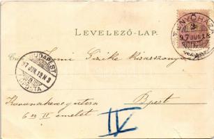 1897 (Vorläufer) Fenyőháza, Lubochna; Új szálloda, Ilka útról nézve, Csigaútról nézve, Középső rész,...