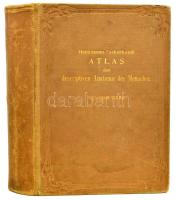 Heitzmann - Zuckerkandl: Anatomischer Atlas der desckiptiven Anatomie des Menschen. Zweiter Band - II. kötet. Bécs-Lipcse, 1905, Wilhelm Braumüller. 9., teljesen átdolgozott kiadás. 673 fekete-fehér és színes képpel. Német nyelven. Kiadói aranyozott, vaknyomásos szecessziós egészvászon kötés, sérült gerinccel, kissé foltos borítóval, laza kötéssel. Csak a II. kötet!