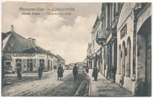 1940 Csíkszereda, Miercurea Ciuc; Strada Liceul / Gimnázium utca, Alter Izsó üzlete, Gyógyszertár. Swoboda M. kiadása / street view, shops, pharmacy (fl)