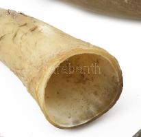 10 db szarv, közte 9 szarvasmarha és 1 merinó juh szarv, h: 9,5 - 24 cm