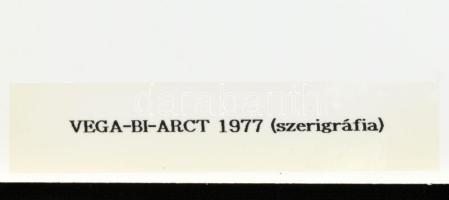 1994 Vasarely, Victor (1908-1997): Hatlapos teljes mappa (teljes a borítóval együtt). Bp., é.n., Vas...