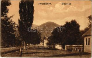 Nagybánya, Baia Mare; Erdélyi út. Kovács Gyula kiadása / street (apró lyukak / tiny pinholes)