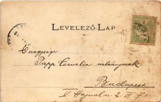 Felsőbánya, Baia Sprie; Kir. Keleti bánya telep. Dácsek Péter kiadása / mine (EK)