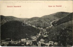 1918 Stájerlak, Steierlak, Stájerlakanina, Steierdorf, Anina; látkép. Scheitzner Ig. kiadása / general view (EK)