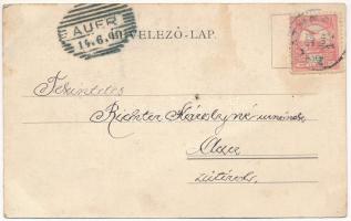 1900 Abrudbánya, Abrud; népviselet. Gálfi György fényképész kiadása / folklore. Art Nouveau, floral ...