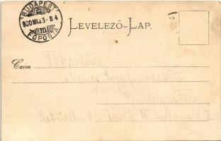 1900 Herkulesfürdő, Baile Herculane; Herkules tér / Herkulesplatz / square, spa (fl)