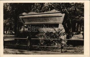 Nagyszalonta, Salonta; Arany János síremléke / Monumentul funerar al lui J. Arany / tombstone, memorial monument (EK)