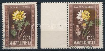1950 Virág 60f látványosan elcsúszott sárga és zöld színnyomattal + támpéldány / Mi 1114 shifted green and yellow colour