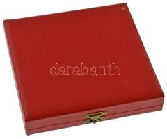 DN "Eredményes Pártmunkáért MSZMP BM PB (Belügyminisztérium Pártbizottság" ezüstpatinázott...