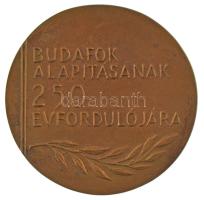 1989. "Budafok alapításának 25. évfordulójára" kétoldalas bronz emlékérem, eredeti tokban ...